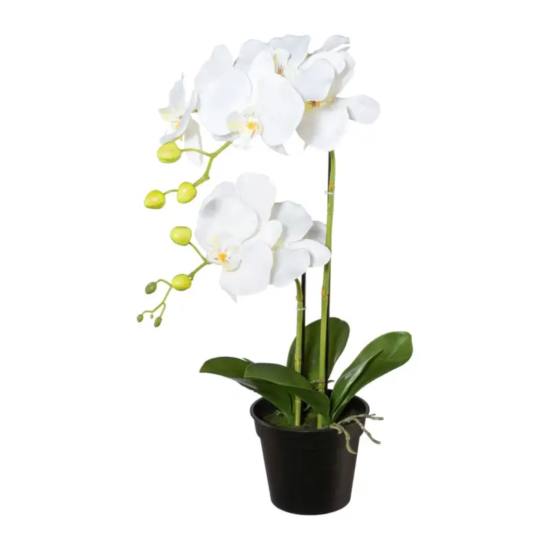 Markenprodukt Kunstpflanze Phalaenopsis, weiß, Höhe ca. 55 cm