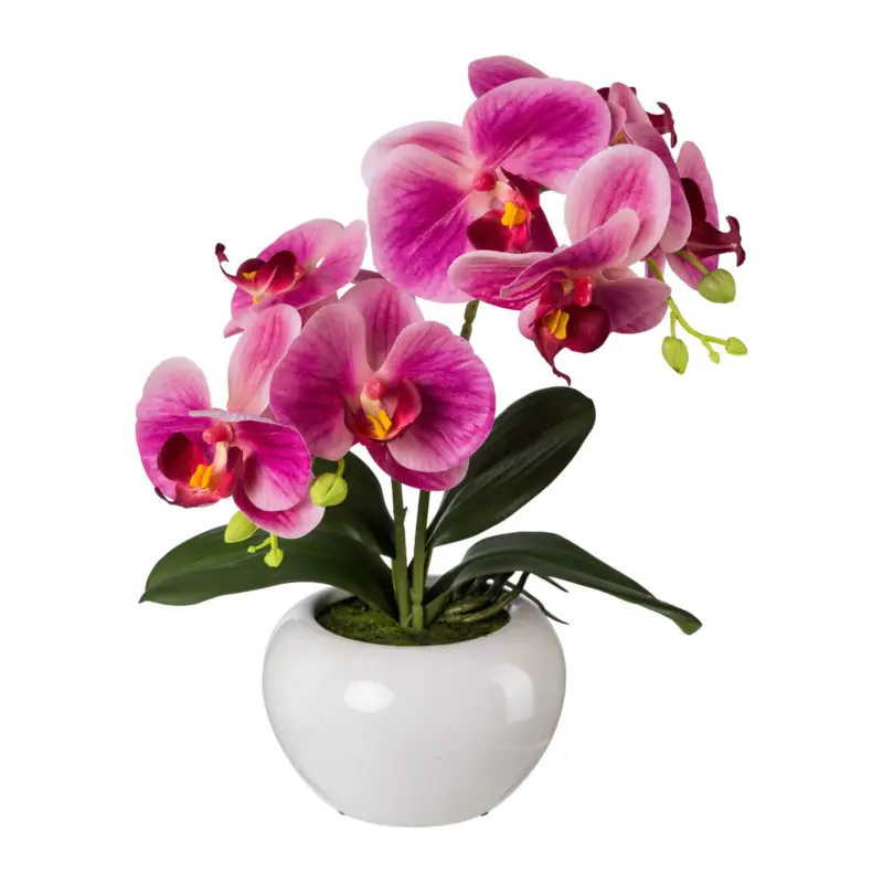 Billig Kunstpflanze Phalaenopsis 'Real Touch', fuchsia, Höhe ca.35cm
