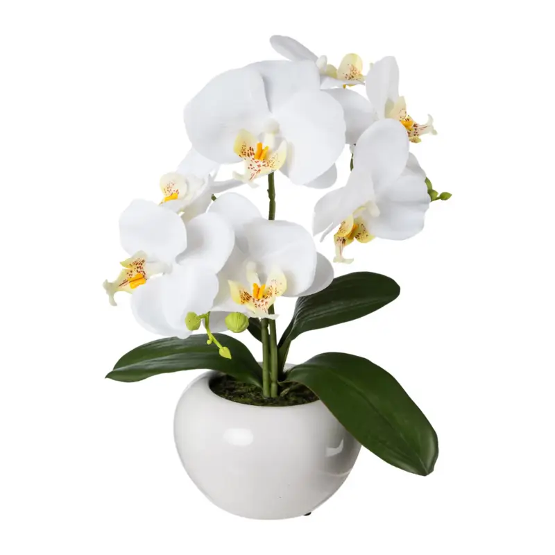 Aktuell Kunstpflanze Phalaenopsis 'Real Touch', weiß, Höhe ca. 35 cm