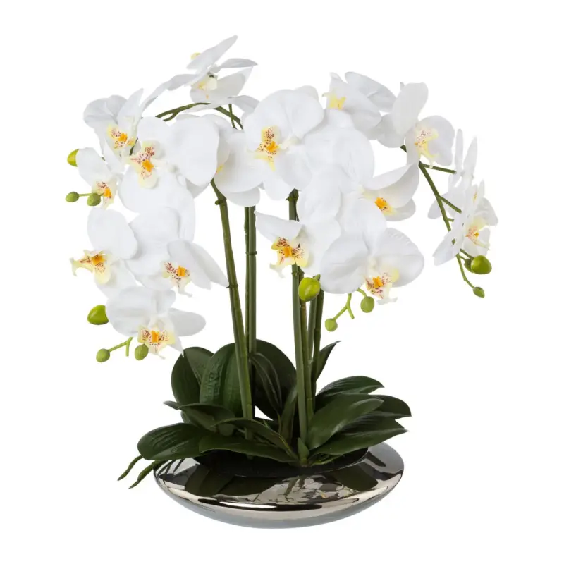 Direkt Vom Hersteller Kunstpflanze Phalaenopsis 'Real Touch', weiß, Höhe ca. 41cm