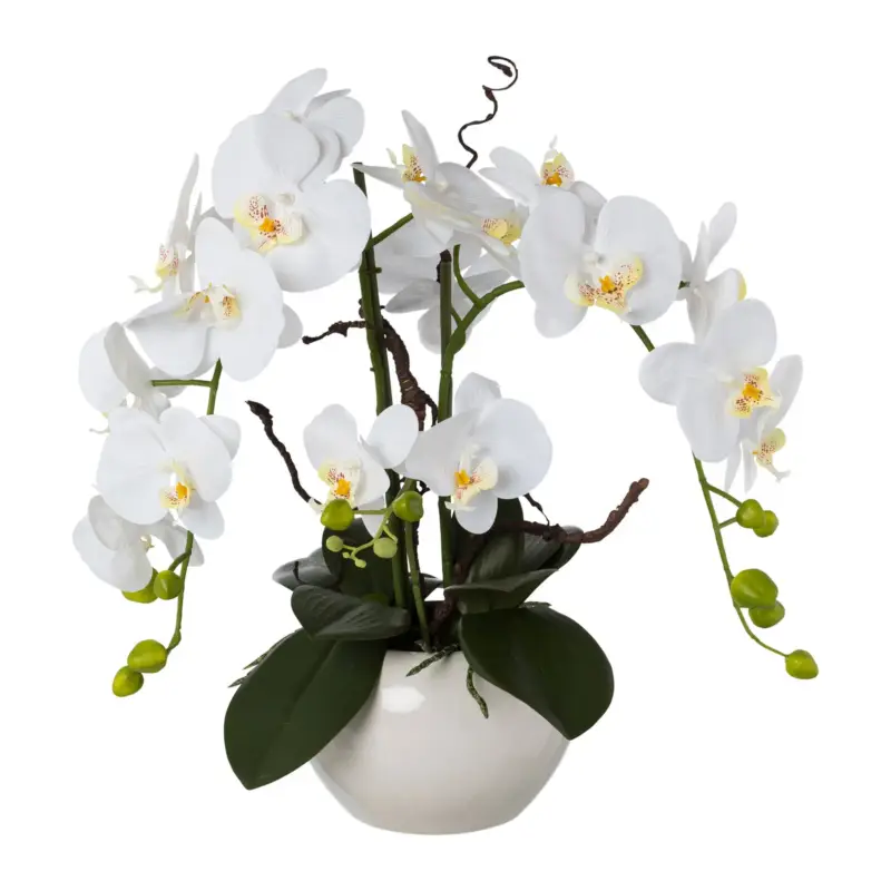 Preisknaller Kunstpflanze Phalaenopsis 'Real Touch', weiß, Höhe ca. 55 cm