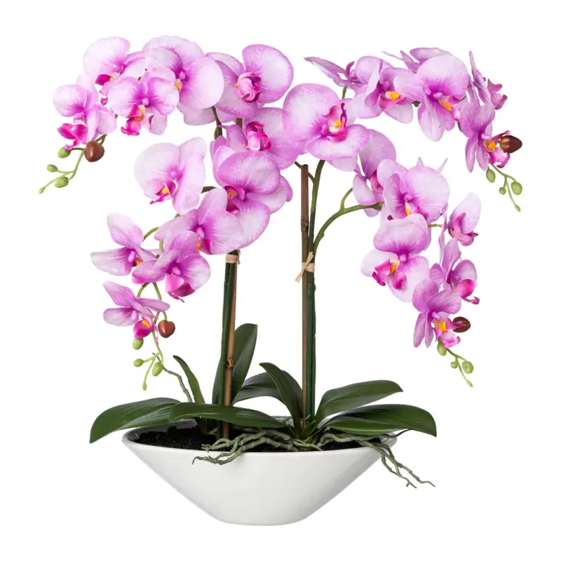 Geprüft Kunstpflanze Phalaenopsis 'Real Touch', Höhe ca. 53 cm
