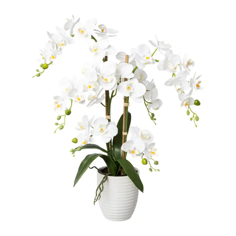 Preisreduziert Kunstpflanze Phalaenopsis 'Real Touch', weiß, Höhe ca. 67 cm