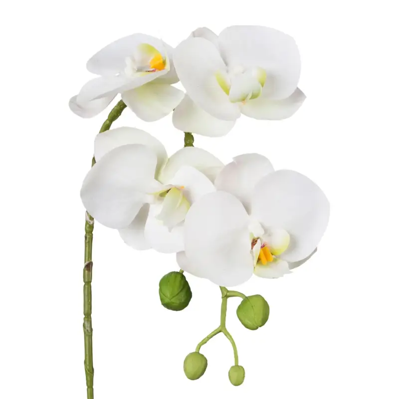 Markenware Kunstpflanze Phalaenopsis 'Real Touch', weiß, Höhe ca. 42 cm
