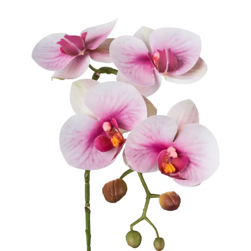 Saisonangebot Kunstpflanze Phalaenopsis 'Real Touch', weiß-lila, Höhe ca. 42cm