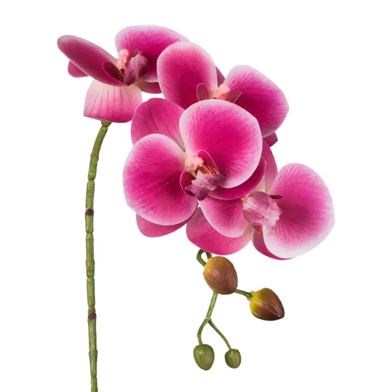 Bestseller Kunstpflanze Phalaenopsis 'Real Touch', Höhe ca. 42 cm