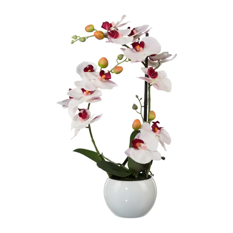 Neuheit Keramiktopf Phalaenopsis 'Real Touch', rosa, Höhe ca. 42 cm