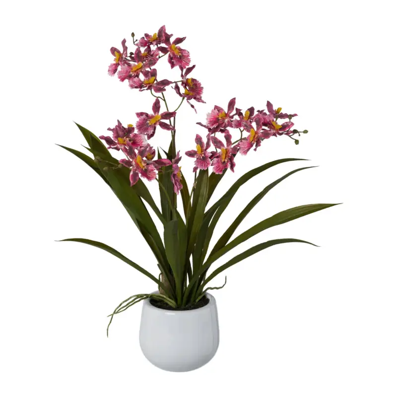 Kunstpflanze Gambia-Orchidee, dunkelrosa, Höhe ca. 50 cm Schneller Versand