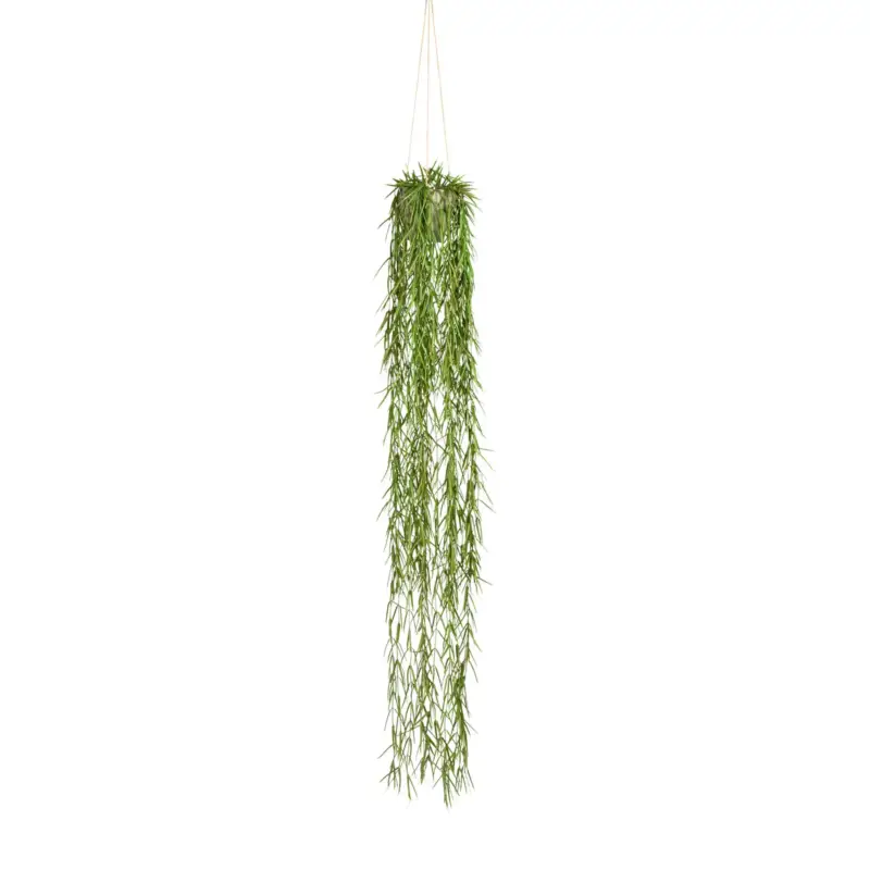 Kunstpflanze Tillandsia, Höhe ca. 120 cm Heißes Angebot