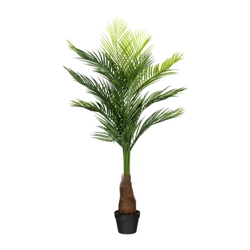 Kunstpflanze Goldfruchtpalme, Höhe ca. 140 cm Preiswert