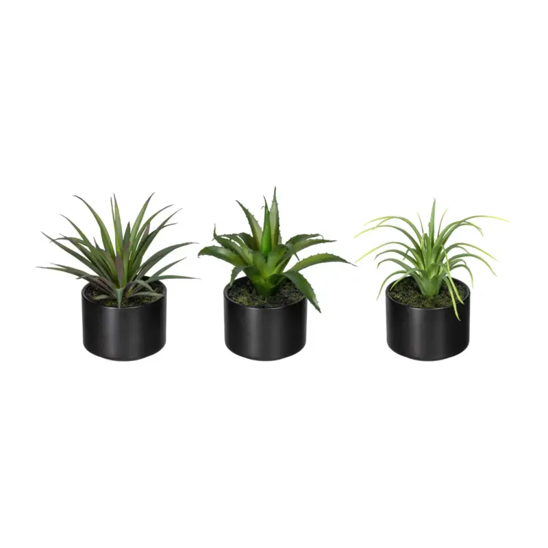 Zertifiziert Kunstpflanzen-Set Aloe vera, Agave & Tillandsie, Höhe ca.15cm