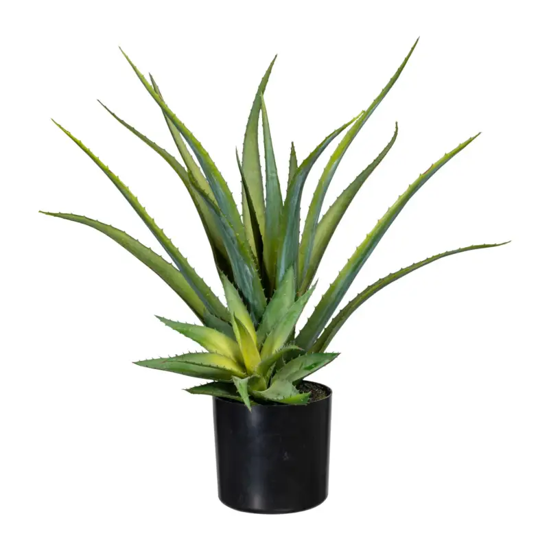 Beliebt Kunstpflanze Aloe vera, Höhe ca. 48 cm