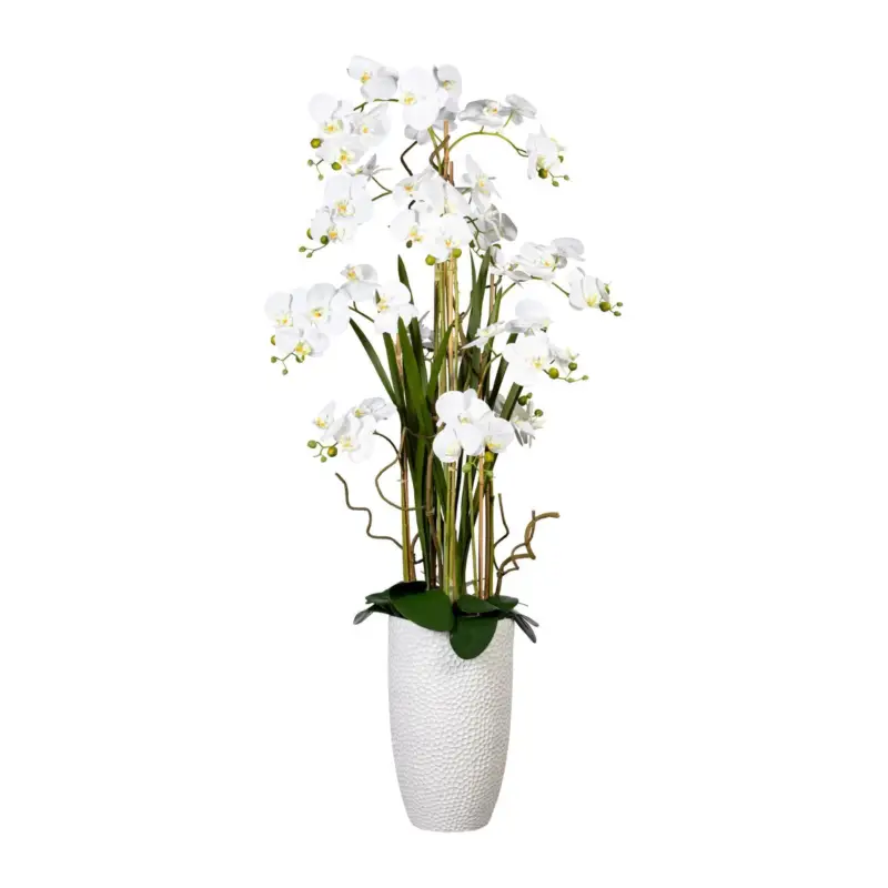 Preisreduziert Kunstpflanze Phalaenopsis-Arrangement, weiß, Höhe ca. 160 cm