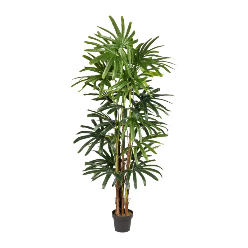 Kunstpflanze Raphis-Palme, Höhe ca. 200 cm Bestpreis
