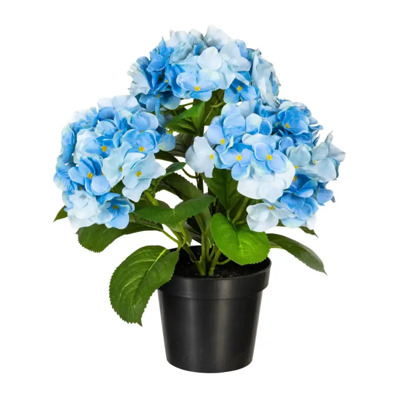 Kunstpflanze Hortensienbusch, blau, Höhe ca. 32 cm Beliebt
