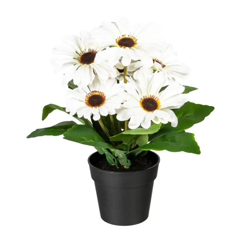 Begrenztes Angebot Kunstpflanze Gerberabusch, 2er-Set, creme, Höhe ca. 27 cm