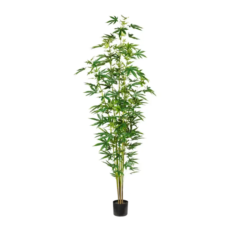 Kunstpflanze Zierhanfpflanze, Höhe ca. 210 cm Bestseller