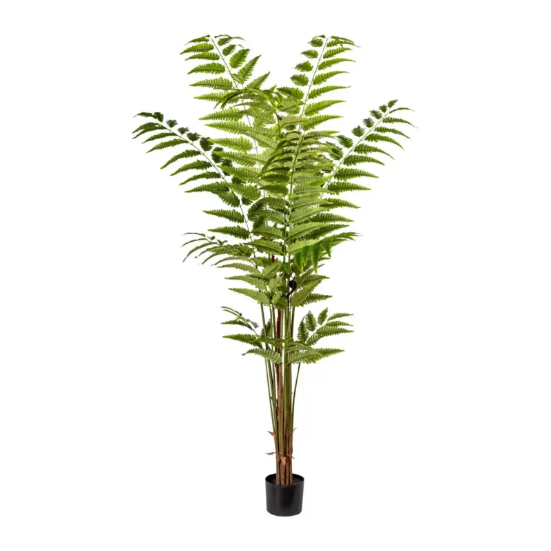 Kunstpflanze Lederfarnpflanze, Höhe ca. 180 cm Billig