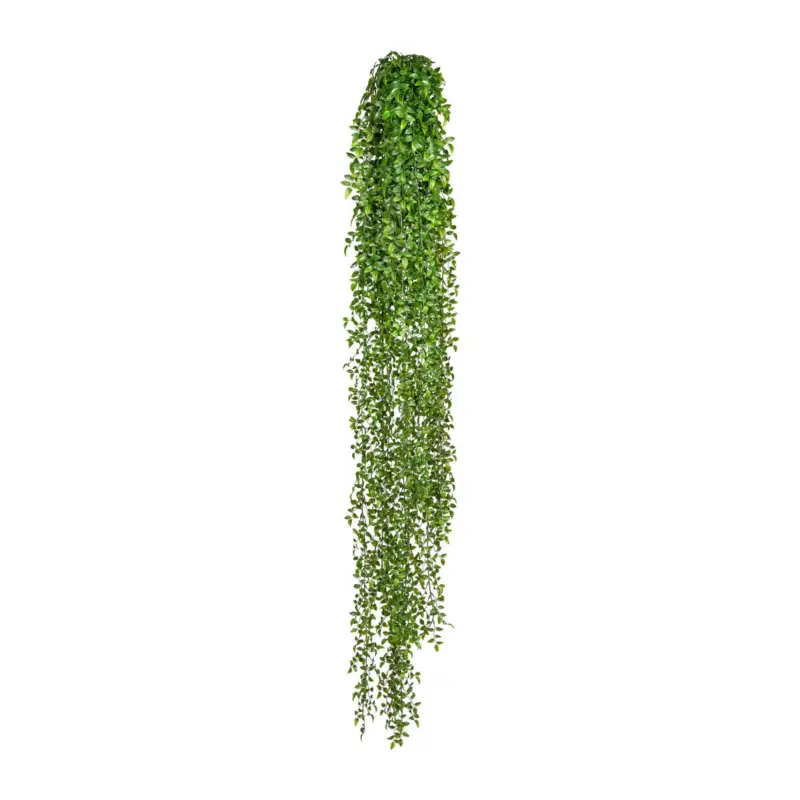 Kunstpflanze Ruscus-Hänger, Höhe ca. 160 cm Knallerangebot