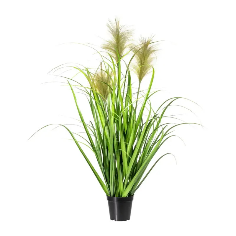 Kunstpflanze Chinaschilf, Höhe ca. 90 cm Jetzt Bestellen