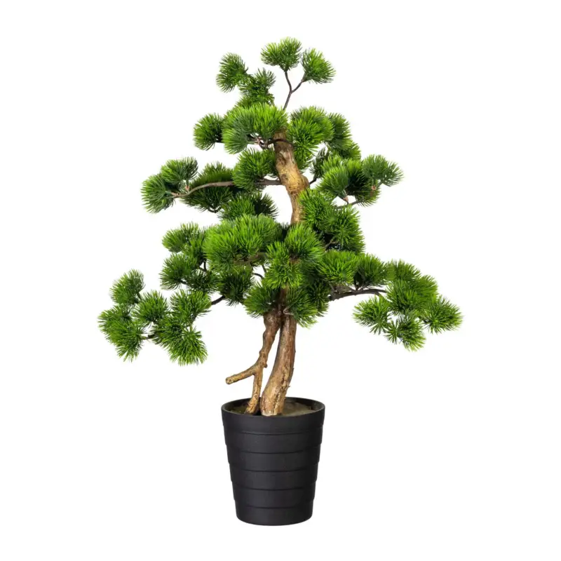 Versand Am Gleichen Tag Kunstpflanze Bonsai Kiefer, Höhe ca. 60 cm