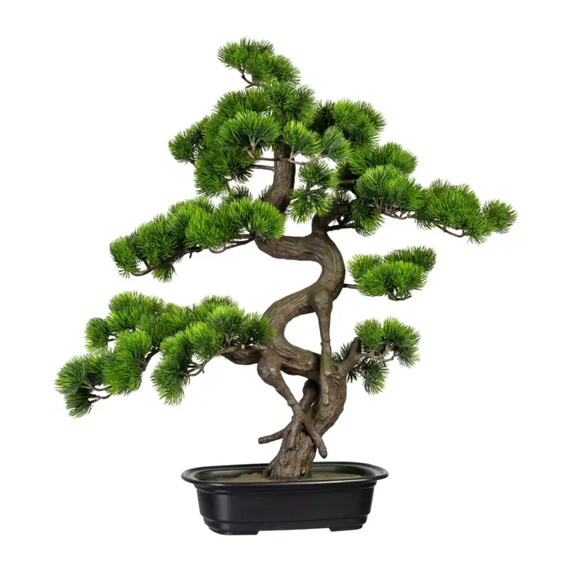 Garantierte Lieferung Kunstpflanze Bonsai Kiefer, Höhe ca. 65 cm