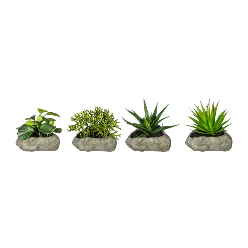 Kunstpflanze Sukkulenten, 4er-Set Mega-Angebot