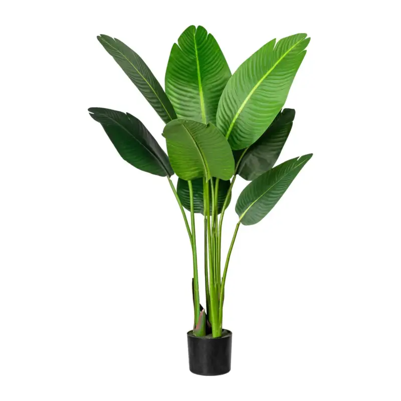Kunstpflanze Strelitzia nicolai, Höhe ca. 120 cm Direkt Vom Hersteller