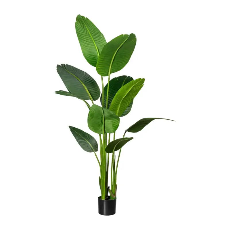 Markenprodukt Kunstpflanze Strelitzia nicolai, Höhe ca. 160 cm