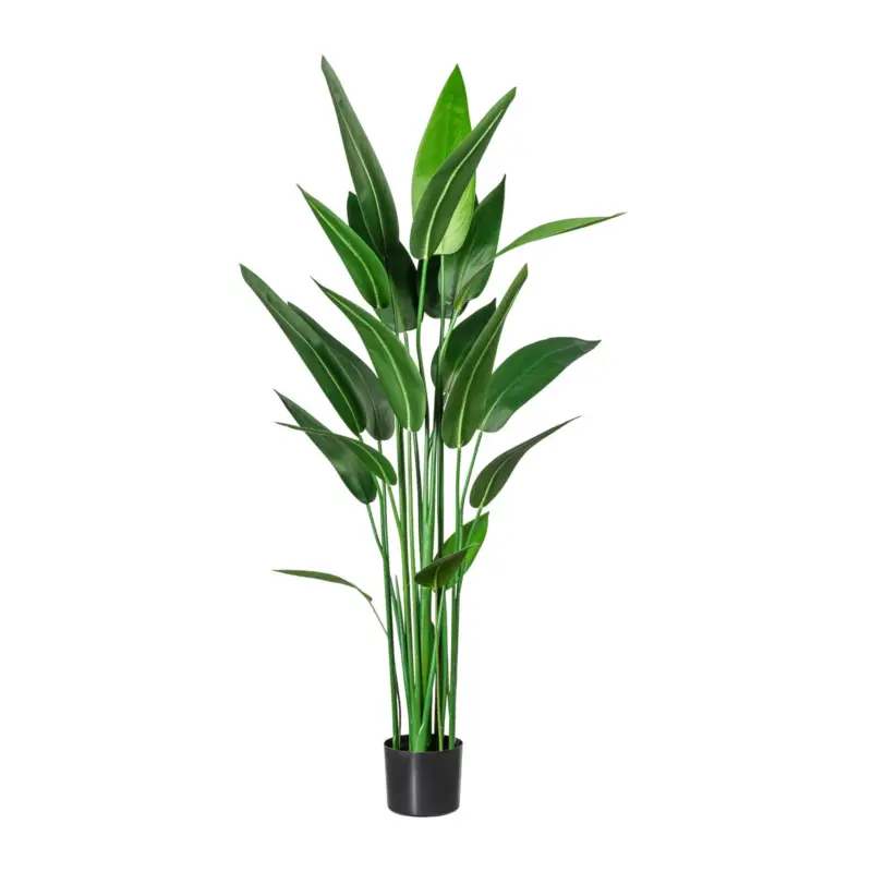 Finale Aktion Kunstpflanze Wassercanna, Höhe ca. 140 cm