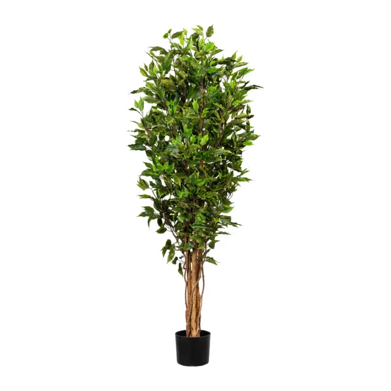 Schneller Versand Kunstpflanze Ficus benjamini, Höhe ca. 150 cm
