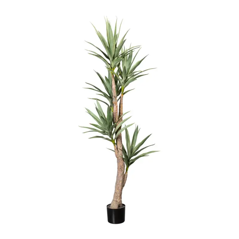 Kunstpflanze Dracaena, Höhe ca. 180 cm Sonderaktion
