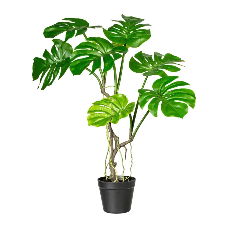 Kunstpflanze Splitphilodendron, Höhe ca. 75 cm Aktuell