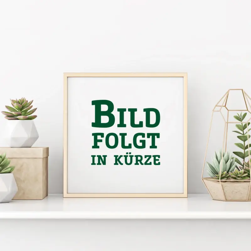 Bio Chinaschilf 'Ferner Osten', Topf 5 Liter Aktuell
