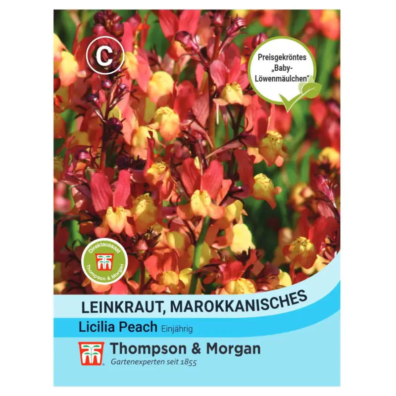 Blumensamen, Marokkanisches Leinkraut 'Lucilia Peach', 200 Stück Neuheit