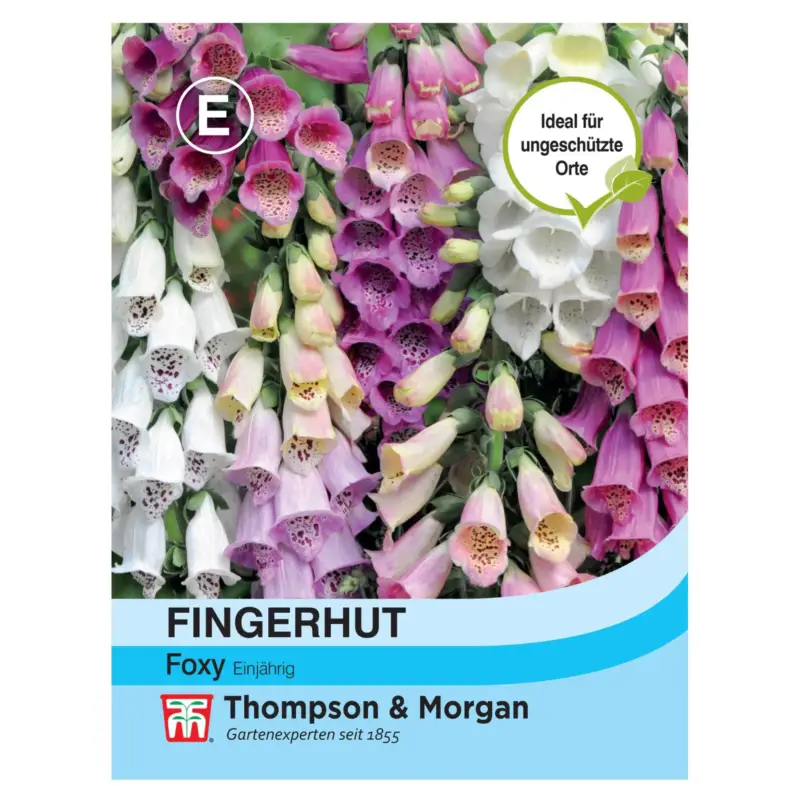 Blumensamen, Fingerhut 'Foxy', rosa, 100 Stück Neue Ware