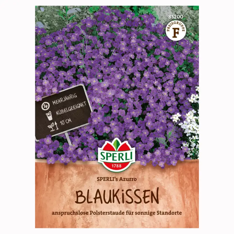 Blumensamen, Blaukissen 'Sperli’s Azurro', lila Neu Im Sortiment