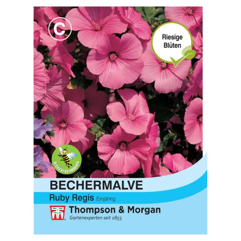 Neu Im Sortiment Blumensamen, Bechermalve 'Ruby Regis', rosa, 70 Stück