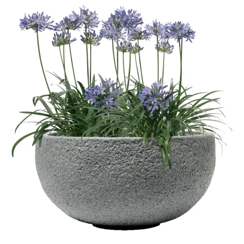 Pflanzschale Rock Line 'Banham', granitgrau, ca. Ø 35 x H 17 cm Begrenztes Angebot