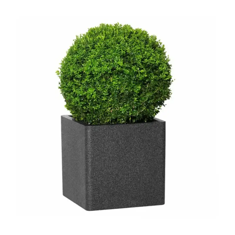 Knallerangebot Pflanztrog iQ Dutch Spencer, schwarz, ca. 25 x 25 x H 25 cm