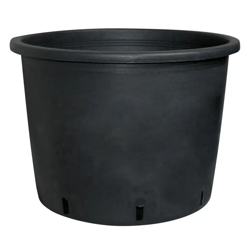 Geli Baumcontainer, schwarz, ca. Ø 22 x H 17 cm Preisreduziert