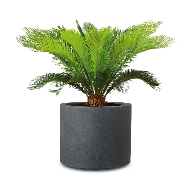 Scheurich Pflanzgefäß 'Riva', schwarz granit, ca. Ø 29 x H 25 cm Beliebt