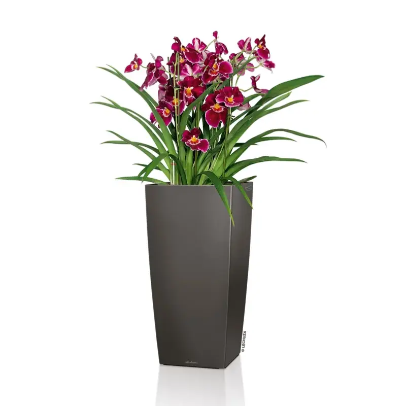 Heißes Angebot Lechuza 'Cubico Premium 22', anthrazit, ca. 22 x 22 x H 41 cm