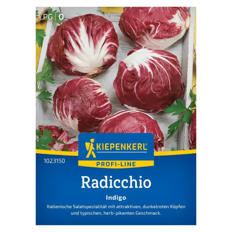 Gemüsesamen, Radicchio 'Indigo', rot Online Kaufen