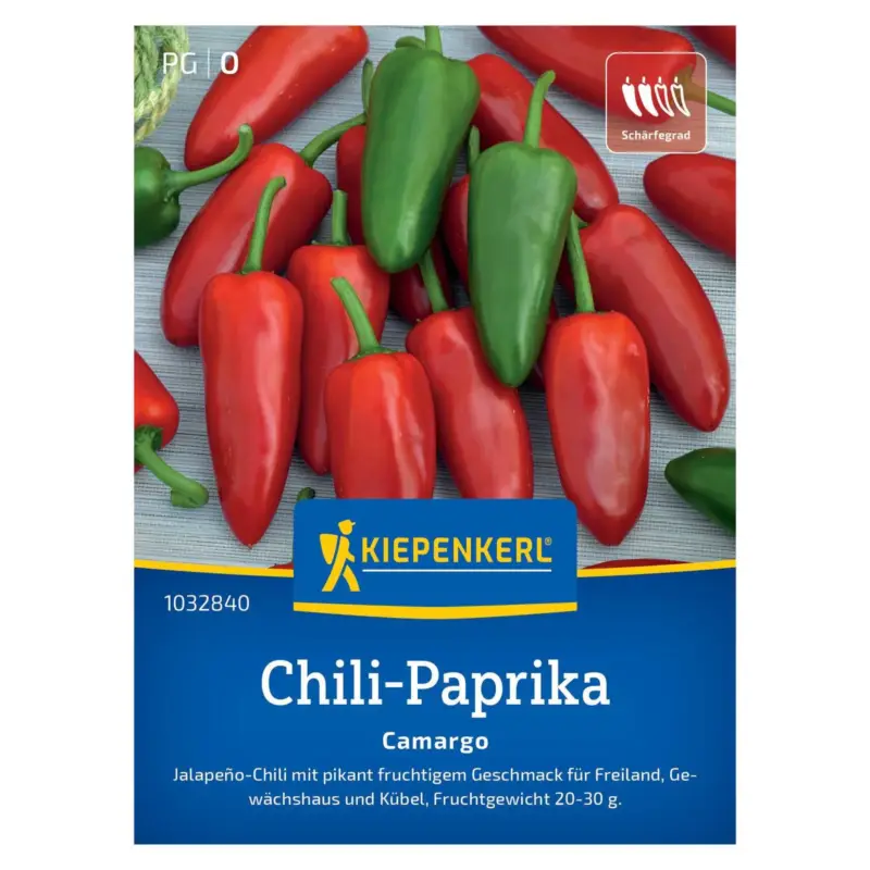 Jetzt Bestellen Jalapeño 'Camargo', grün, ca. 7 Samen