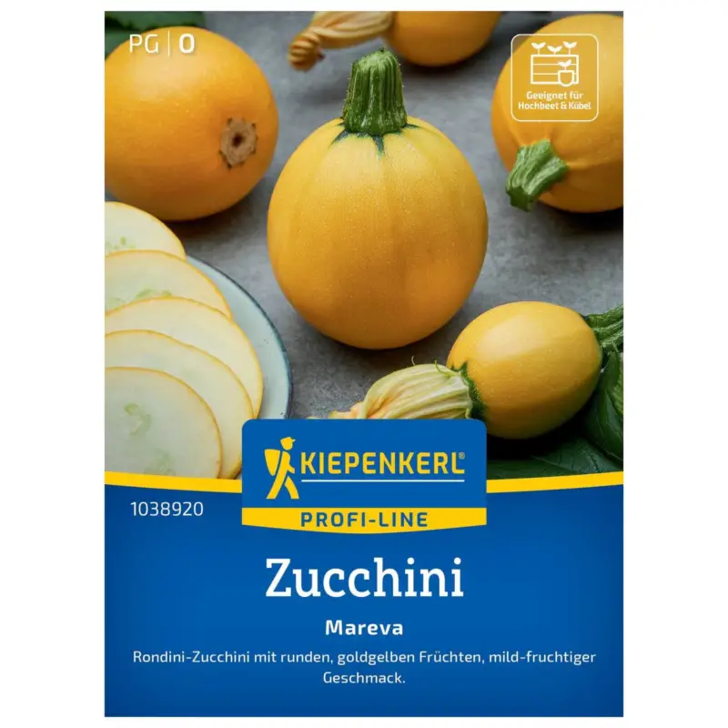 Zucchini 'Mareva', gelb, ca. 6 Samen Expressversand
