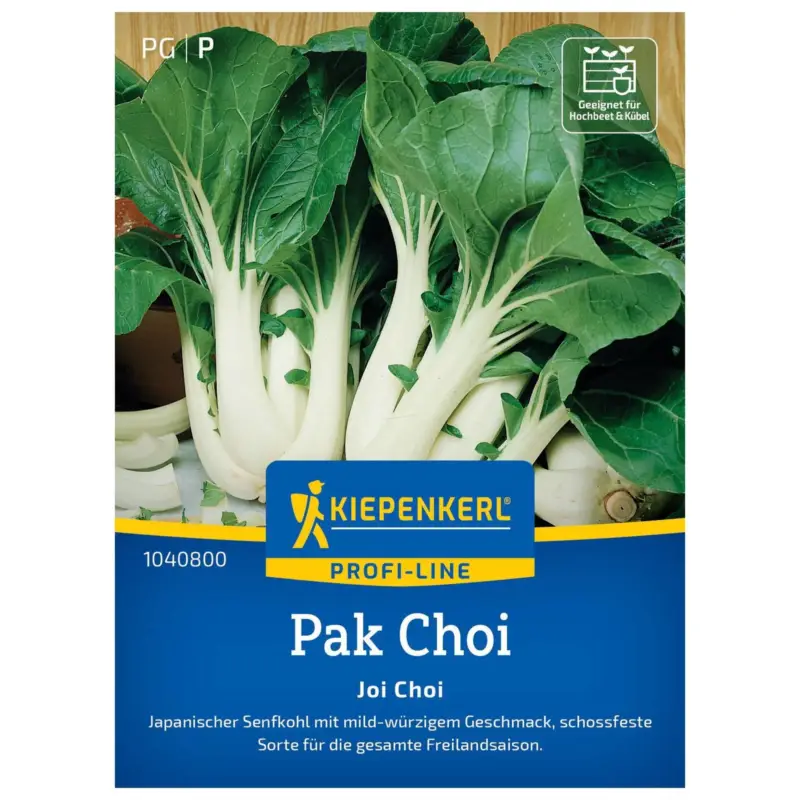Expressversand Pak Choi 'Joi Choi', grün, ca. 50 Samen