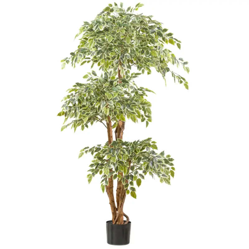 Markenware Künstlicher Ficus benjamina, Höhe ca. 165 cm