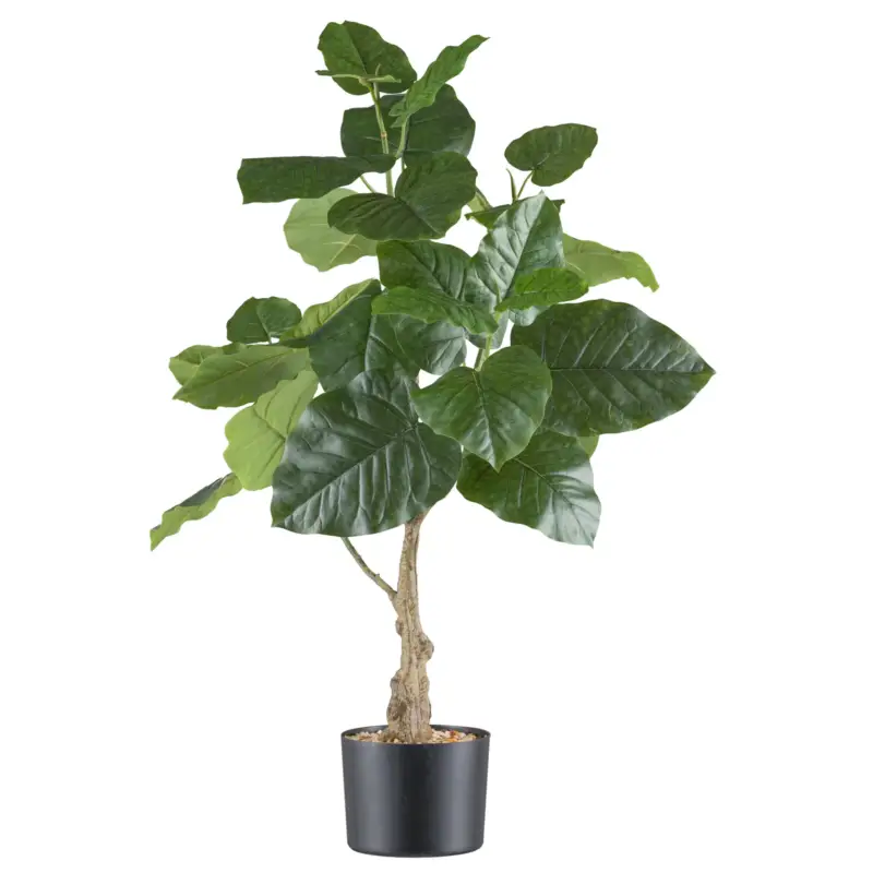 Künstliche Steinfeige 'Ficus petioralis', Höhe ca. 85 cm Zertifiziert