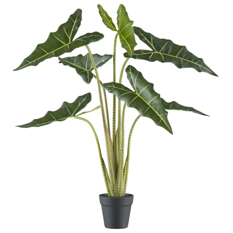 Künstliche Alocasia zebrina 'Sarian', Höhe ca. 100 cm Abverkauf